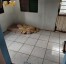 Mulher  presa por tortura aps agredir a filha de cinco anos com relho