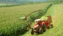 Mais de mil agricultores de So Jos do Cedro retiraram o Bnus Agrcola 2023 
