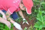 Alunos da Escola Bsica Cedrense realizaram o plantio de rvores s margens de um trecho do Rio Cedro.
